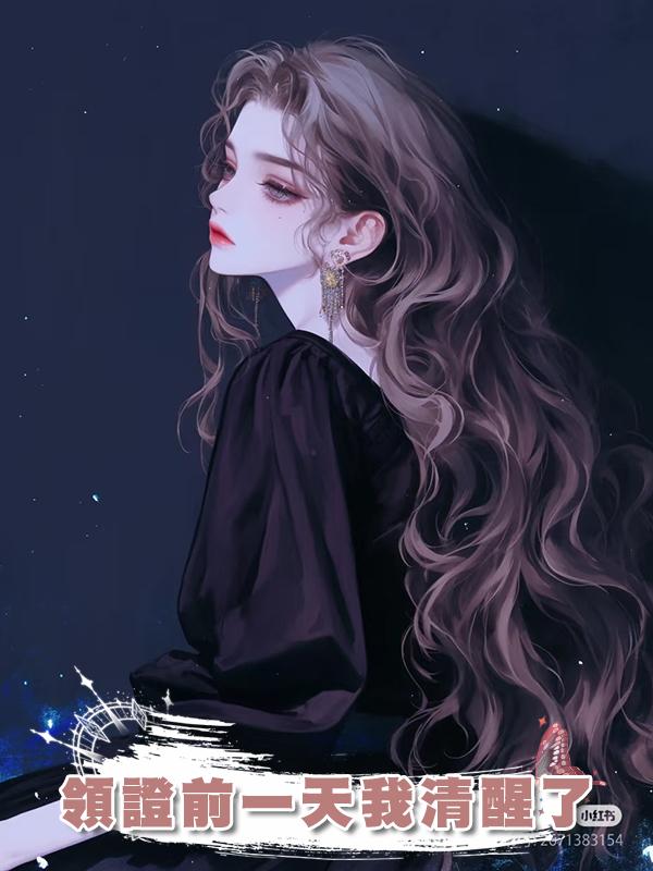 領證前一天我清醒了