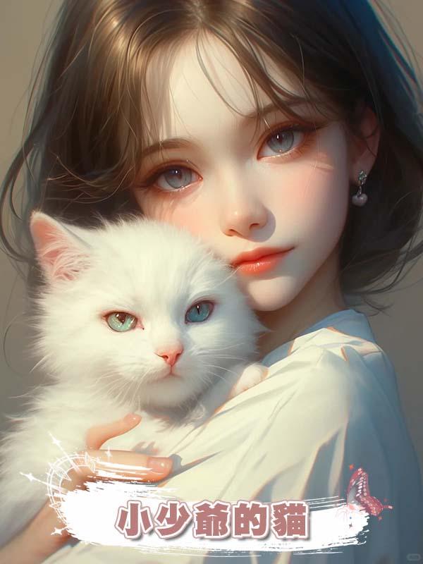 小少爺的貓