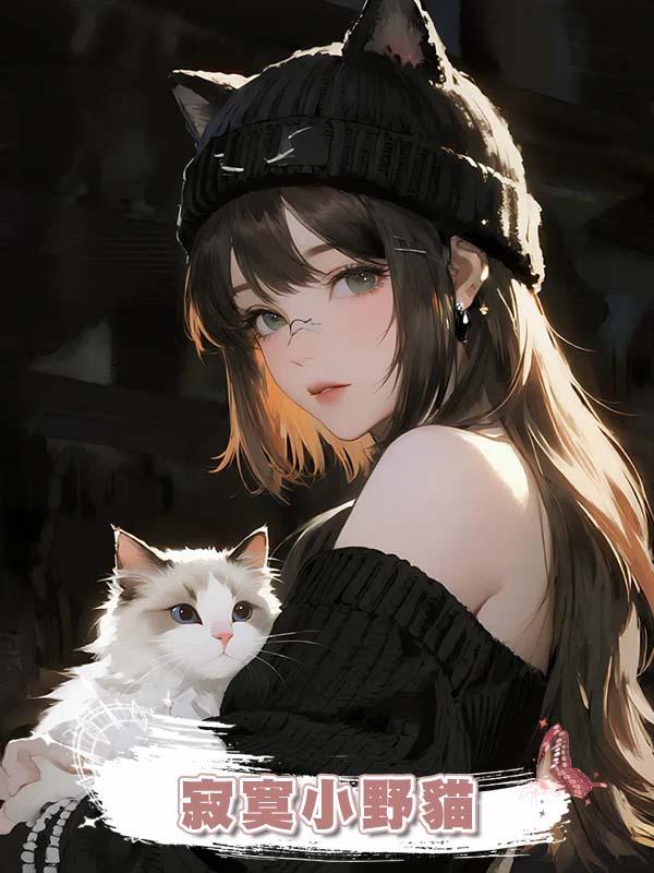寂寞小野貓