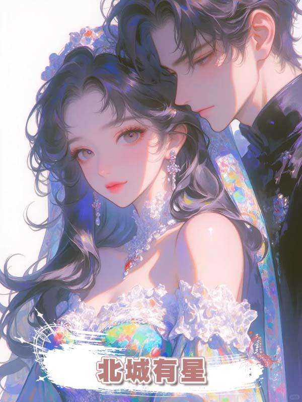 北城有星