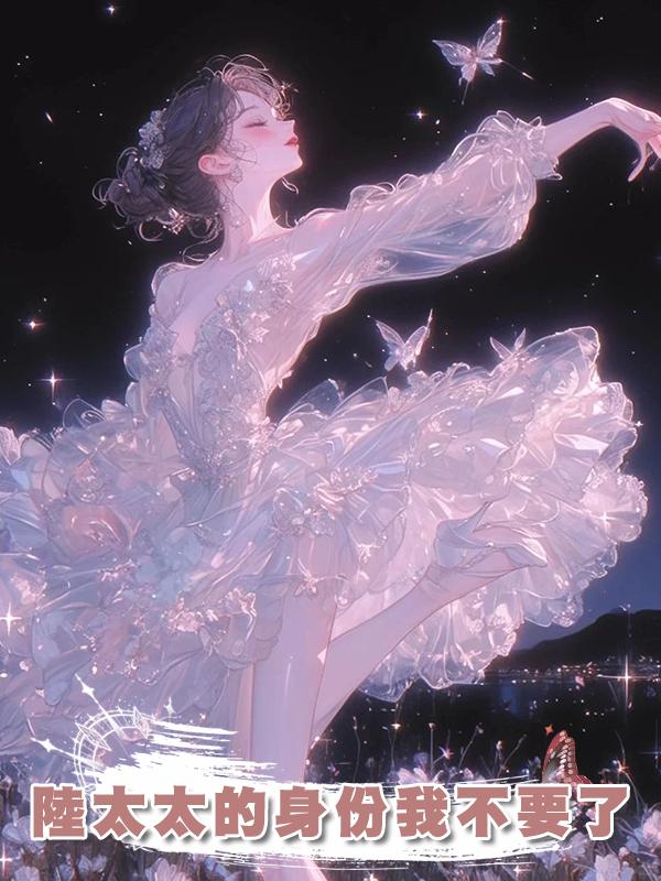 陸太太的身份我不要了