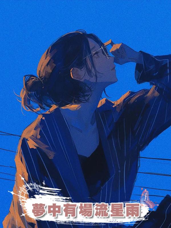 夢中有場流星雨