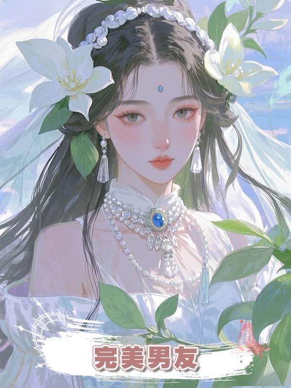 完美男友